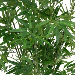 Bambus o wysokości 100 cm z doniczką z naturalnego materiału