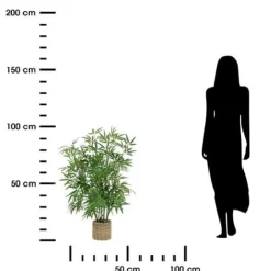Bambus o wysokości 100 cm z doniczką z naturalnego materiału
