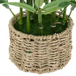 Bambus o wysokości 46 cm z doniczką       z naturalnego materiału