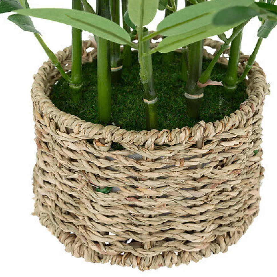 Bambus o wysokości 46 cm z doniczką z naturalnego materiału