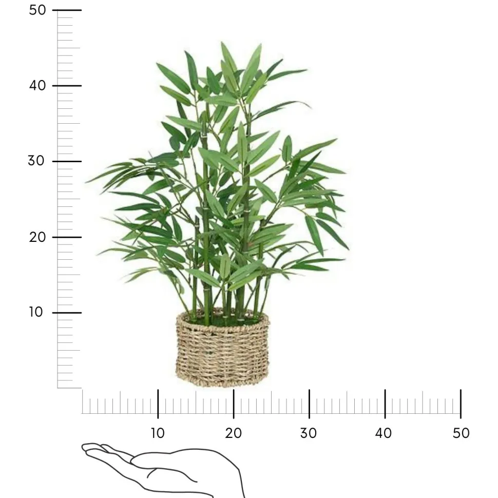 Bambus o wysokości 46 cm z doniczką z naturalnego materiału