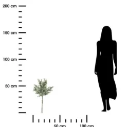Bukiet sztucznych eukaliptusów 64 cm