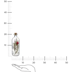 Butelka z suszonymi kwiatami 7x21 cm czerwona róża