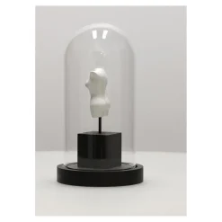 Dekoracja pod szkłem Afrodyta