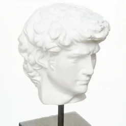 Dekoracja pod szkłem Dawid