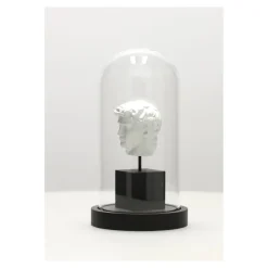 Dekoracja pod szkłem Dawid