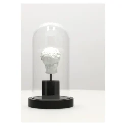 Dekoracja pod szkłem Dawid