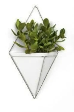 Doniczka ścienna Trigg Nickel