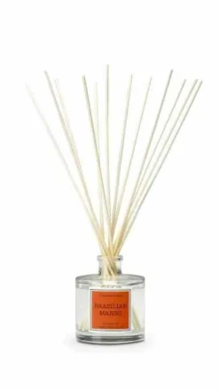 Dyfuzor Santiago Reed 100ml. Brazilian mango