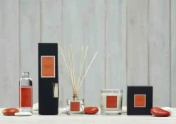 Dyfuzor Santiago Reed 100ml. Brazilian mango