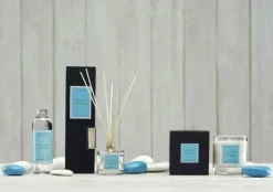 Dyfuzor Santiago Reed 100ml. Egypcian jasmine