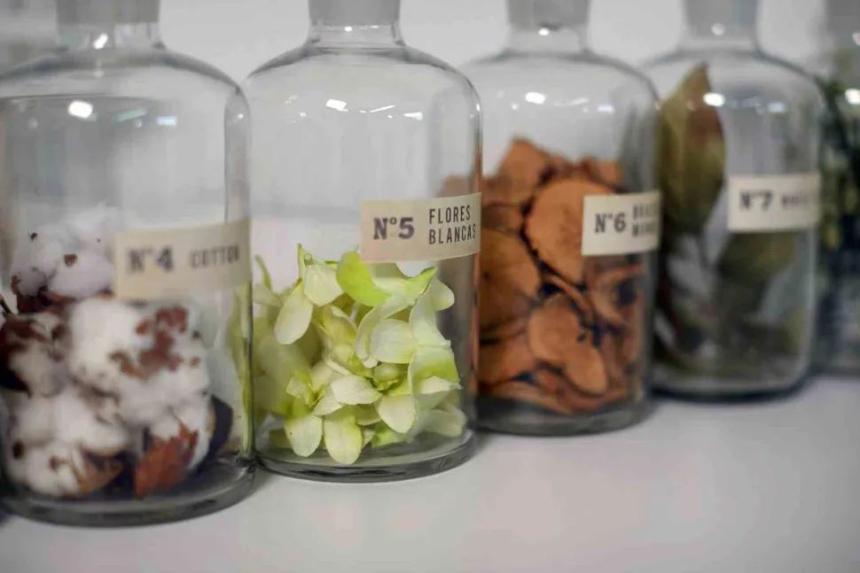 Dyfuzor Santiago Reed 100ml. Egypcian jasmine