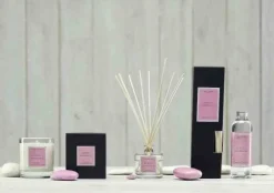 Dyfuzor Santiago Reed 100ml. Nordic angelic