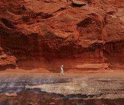 Dywan Alsana Purple 200x300 Carpet Decor