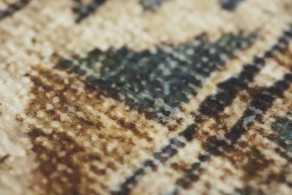 Dywan Carpet Decor Persian Brown 200x300