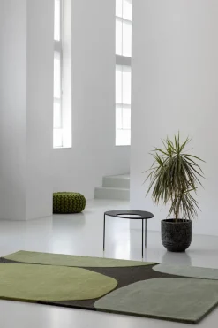 Dywan Decor Plateau Moss 160x230cm