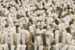 Dywan Shaggy Rocks beżowy 200x300cm