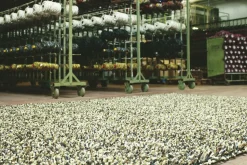 Dywan Shaggy Rocks Mix beżowy 140x200cm