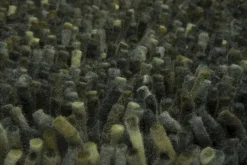 Dywan Shaggy Rocks zielony 250x300cm