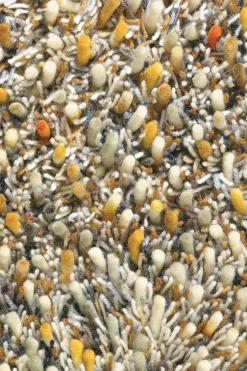 Dywan Shaggy Spring beżowy 200x300cm