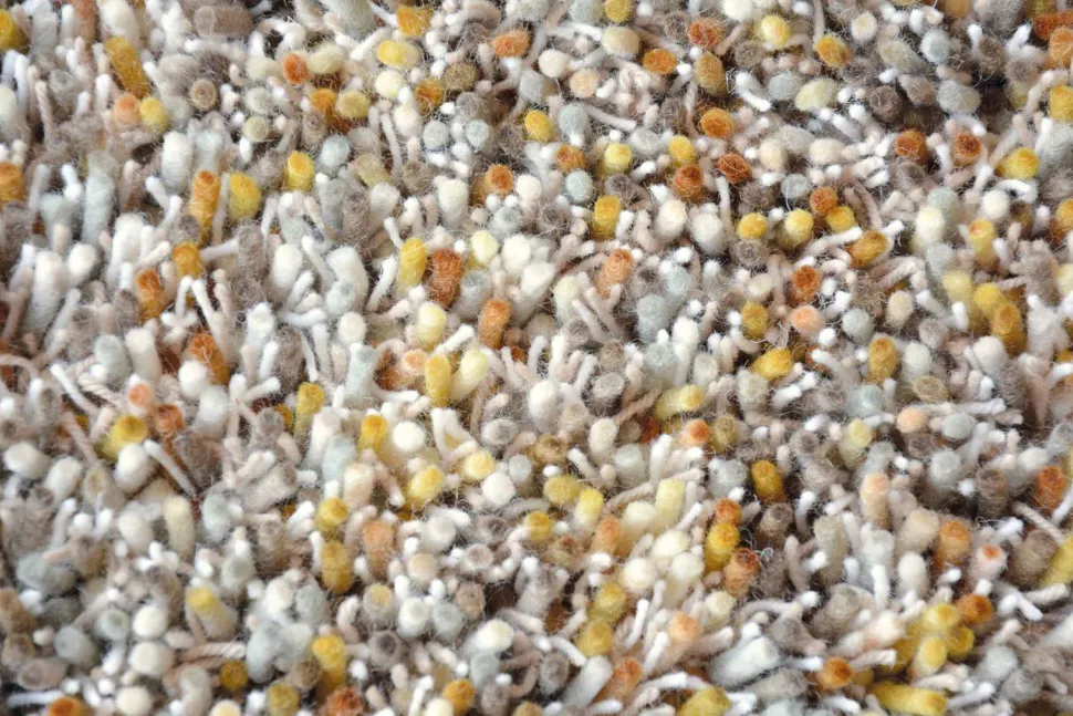 Dywan Shaggy Young brązowy 250x350cm