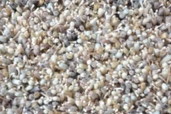 Dywan Shaggy Young szary ciemny