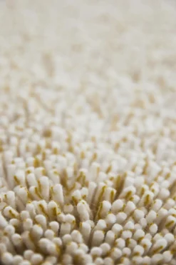 Dywan Trace Cut mandarin orange