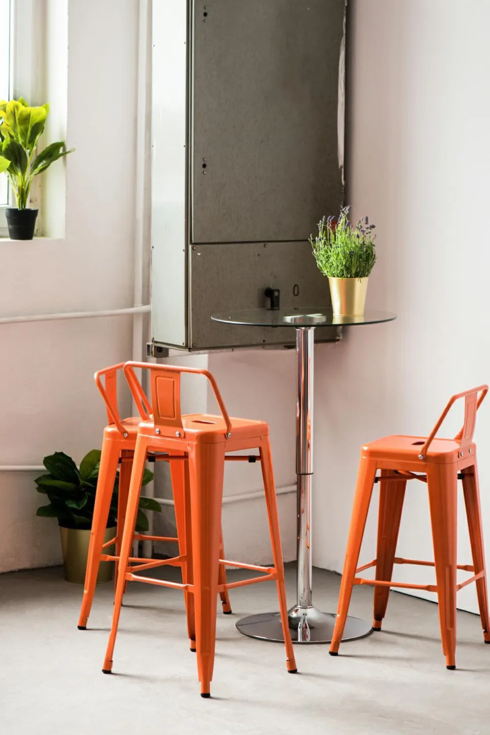 Hoker Paris Back short 66cm kolor