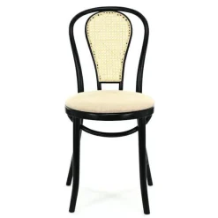 Krzesło Fameg A-18/5 CAT A premium