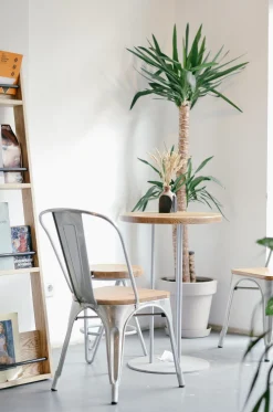 Krzesło Paris Wood białe sosna naturalna