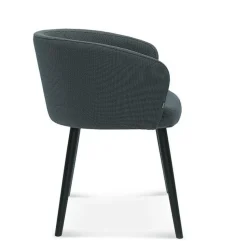 Krzesło z podłokietnikami Fameg Skip B-1524 CATA buk standard