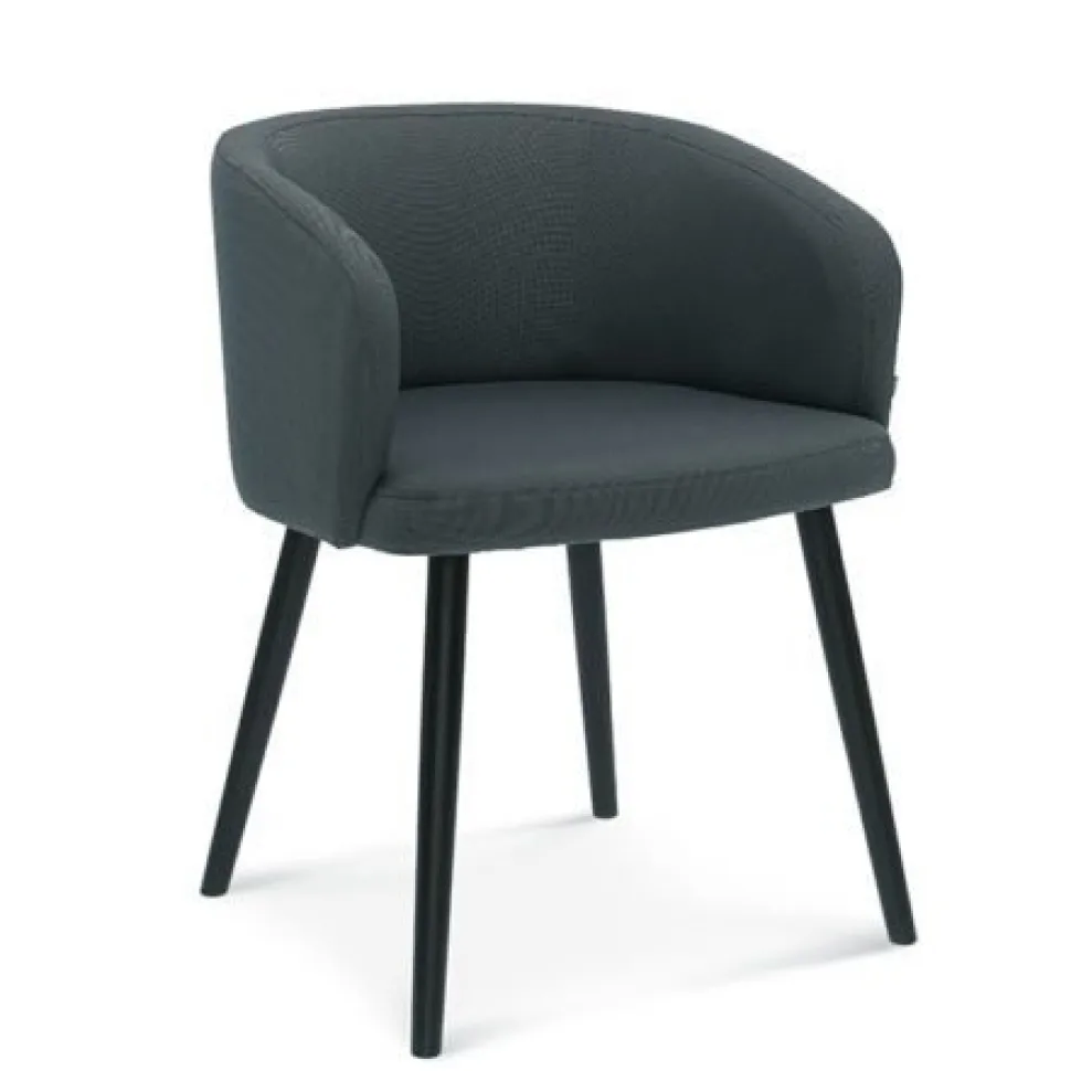 Krzesło z podłokietnikami Fameg Skip B-1524 CATA dąb premium