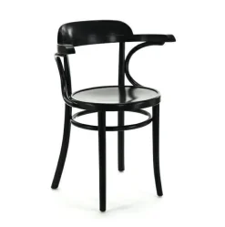 Krzesło z podłokietnikami Fameg B-1110 CATA standard