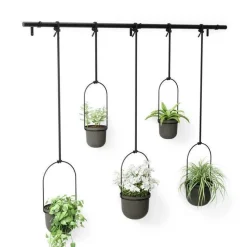 Kwietnik Triflora black 5