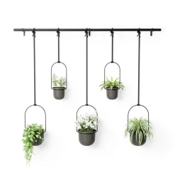 Kwietnik Triflora black 5