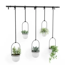 Kwietnik Triflora black/white 5