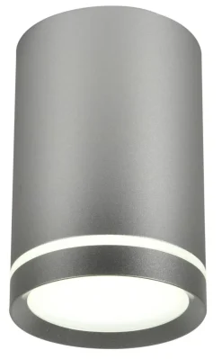 Lampa sufitowa Tuba 1x15W GU10 6,8/10 srebrny matowy