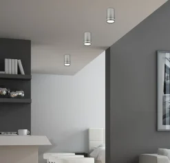 Lampa sufitowa Tuba 1x15W GU10 6,8/10  srebrny matowy