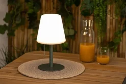 Lampka indoor/outdoor Zack zielona