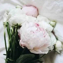 Olejek eteryczny 30ml. French Linen