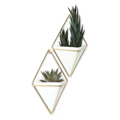 Organizer Trigg Brass (2szt.)