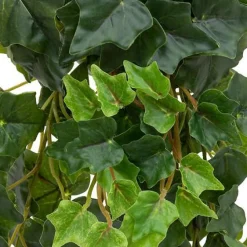 Pęd bluszczu zwisający 85 cm