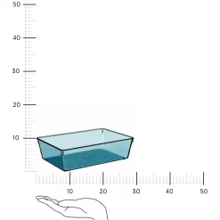 Pudełko do przechowywania Galia           transparentne niebieskie