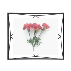 Ramka Prisma 20x25 Czarna