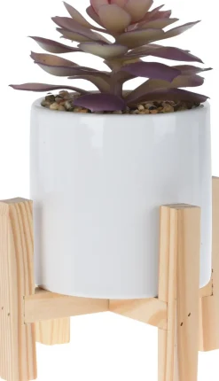 Sukulent w boho donicy fioletowy