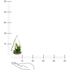 Sztuczna roślina wisząca łezka grubosz