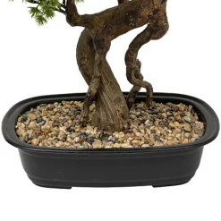 Sztuczne drzewko Bonsai 86cm w czarnej ceramicznej donicy