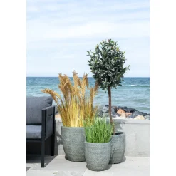 Sztuczne drzewko oliwne 150cm