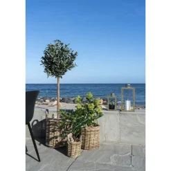 Sztuczne drzewo figowe 60cm