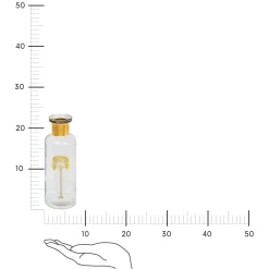 Wazon Tropical Boudoir o wysokości 22 cm z przezroczystego szkła